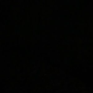 Meet your Posher, Bryce